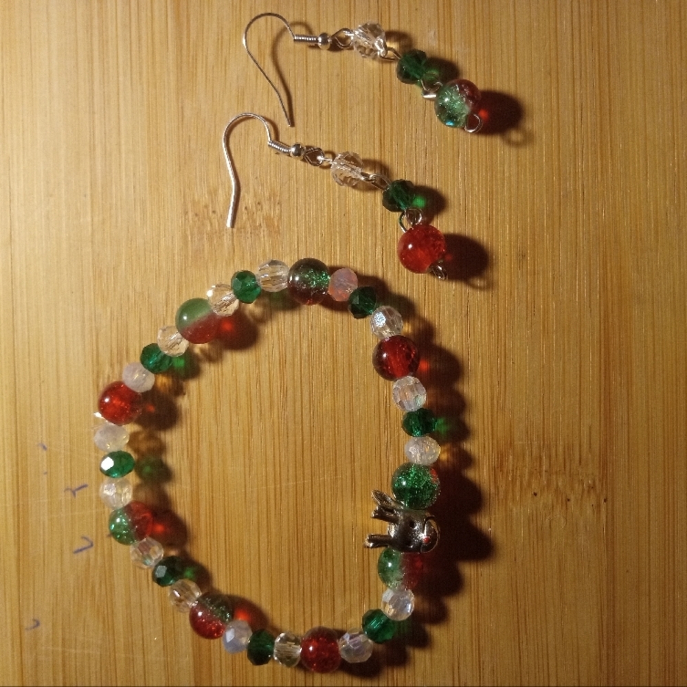 Multicolor Beaded Bracelet and Earring Set